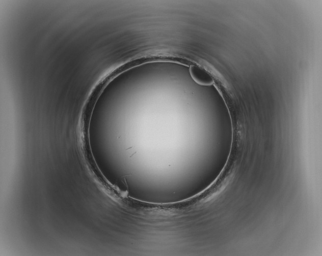 X0000112940981200908311446