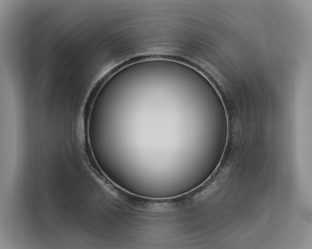 X0000112940982200908311445