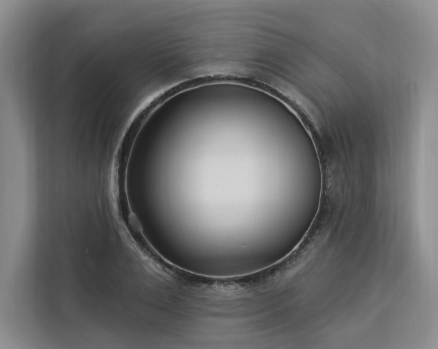 X0000112940983200908311445