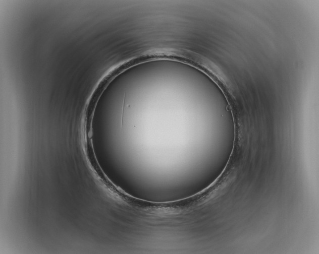 X0000112940984200908311445