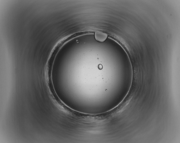 X0000112940987200908311445