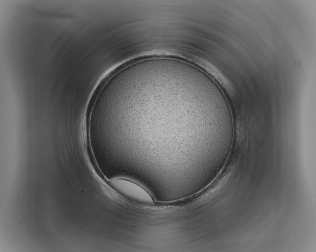 X0000112940988200908311445