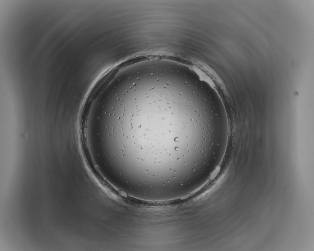 X0000112940989200908311445