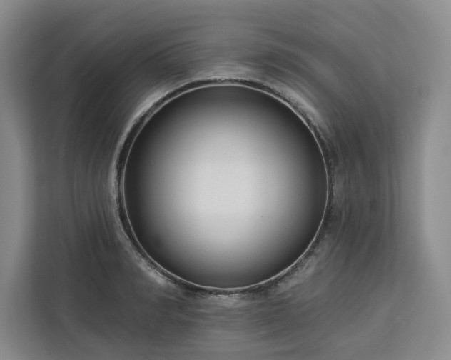 X0000112940990200908311445