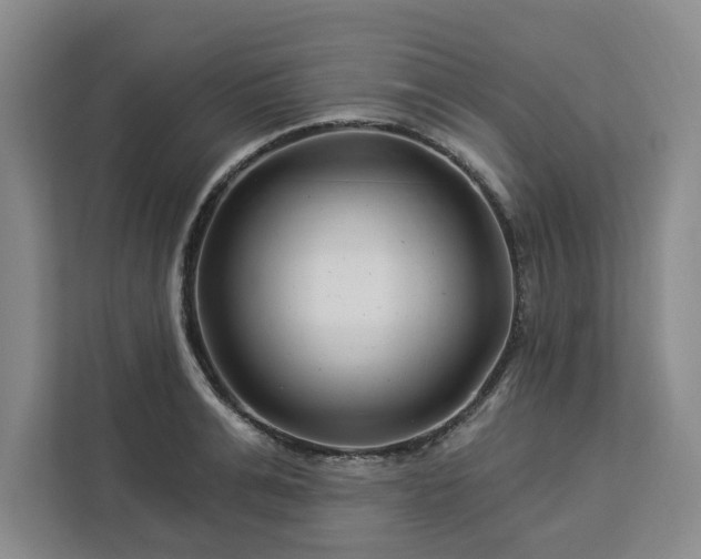 X0000112940991200908311445