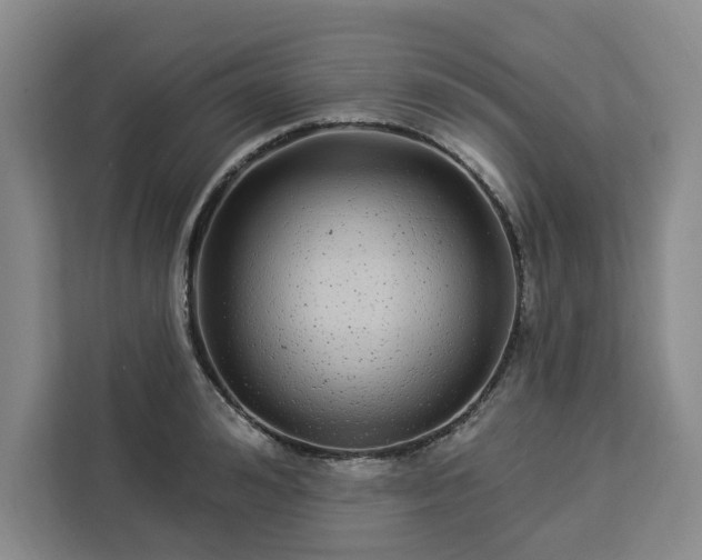 X0000112940992200908311445