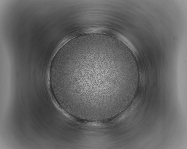 X0000112940994200908311445