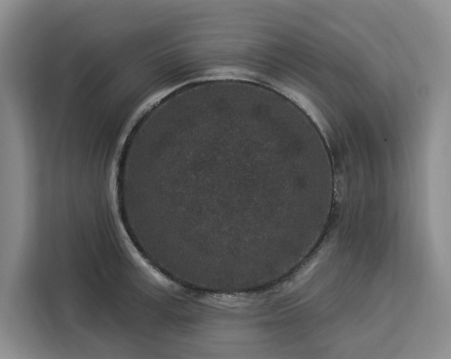 X0000112940995200908311445