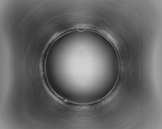 X0000112940997200908311445