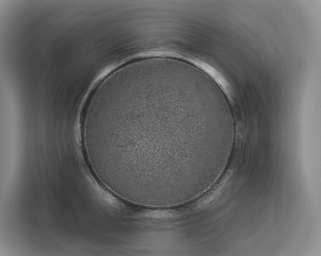 X0000112940998200908311445