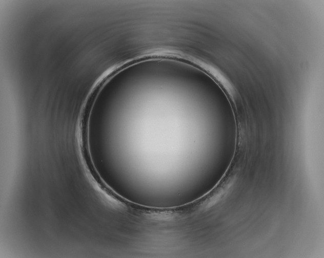 X0000112940999200908311445