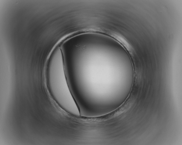 X0000112941000200908311445