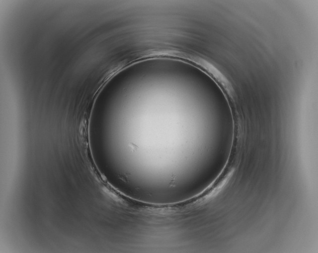 X0000112941001200908311445