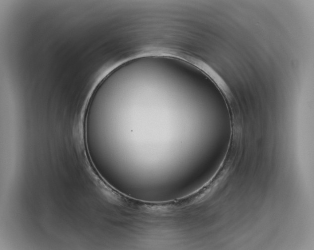 X0000112941004200908311445
