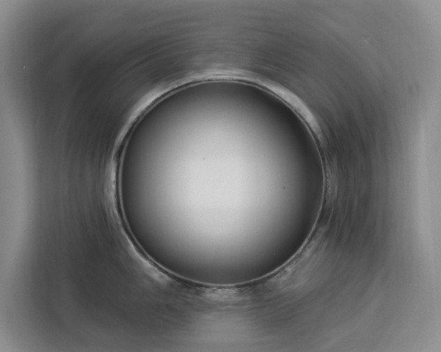 X0000112941006200908311445