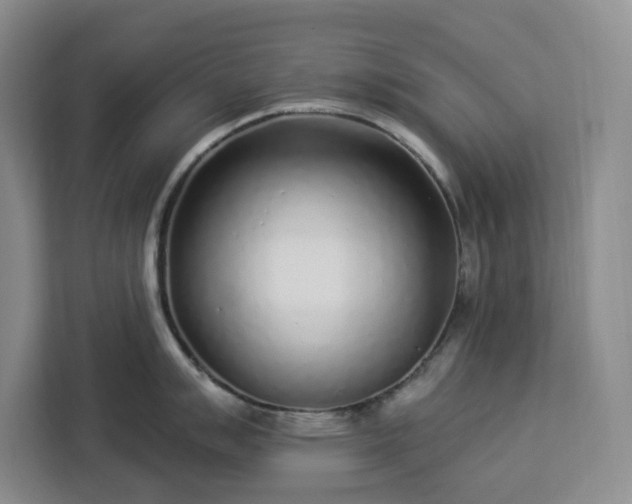 X0000112941007200908311445