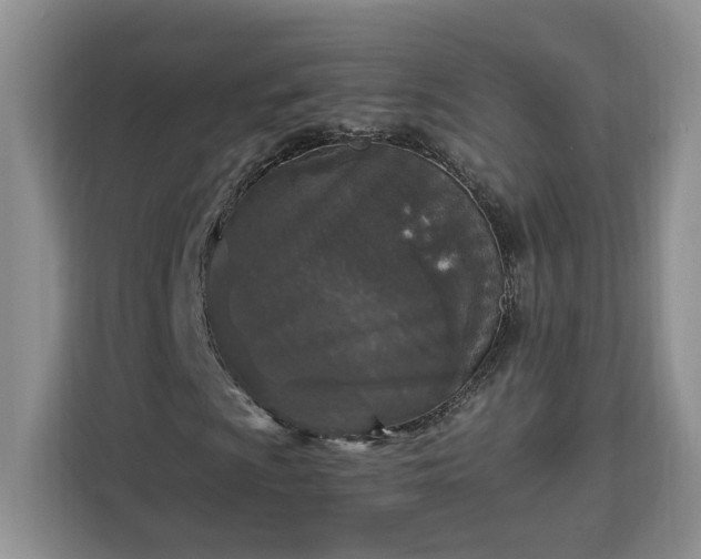 X0000112941009200908311445