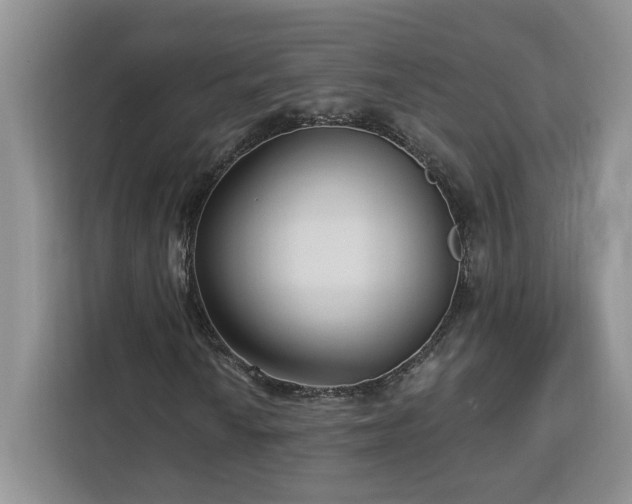 X0000112941010200908311445