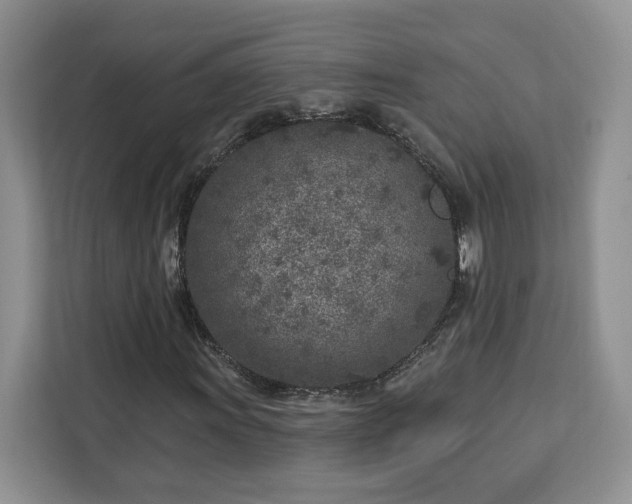 X0000112941011200908311445