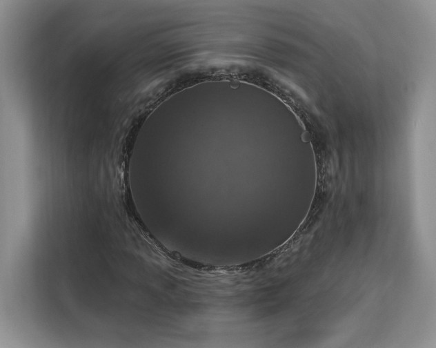 X0000112941013200908311445
