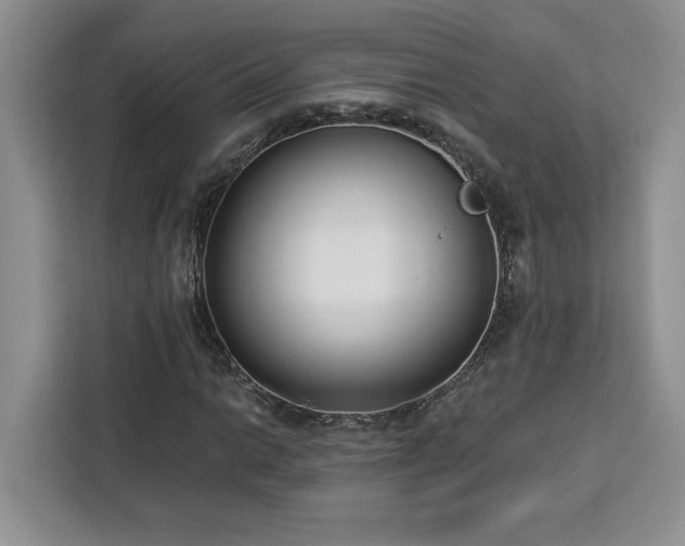 X0000112941014200908311445