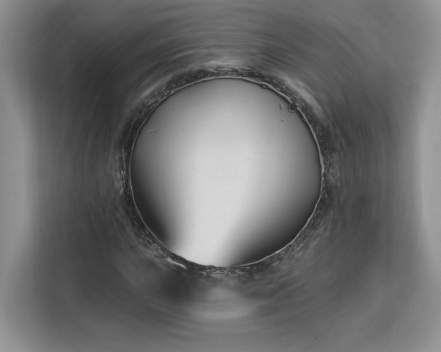 X0000112941015200908311445