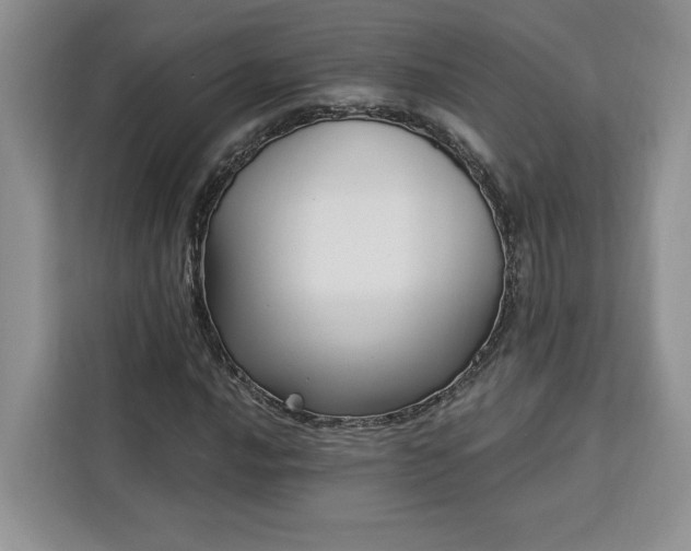 X0000112941016200908311445