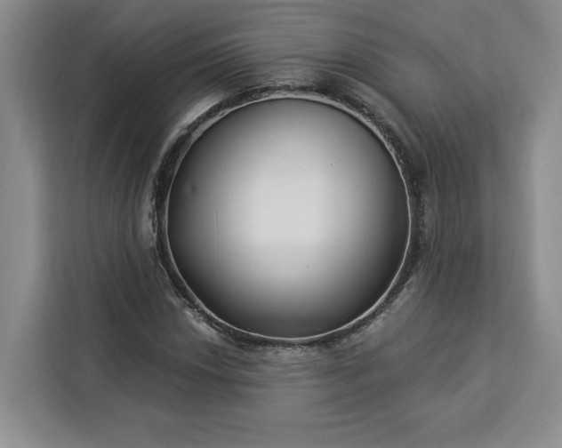 X0000112941018200908311445