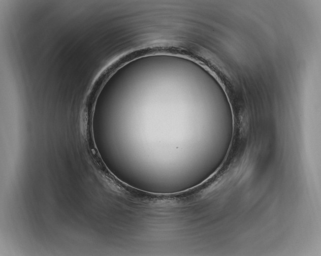 X0000112941021200908311445