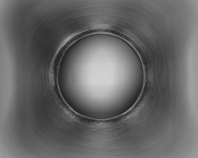 X0000112941022200908311445