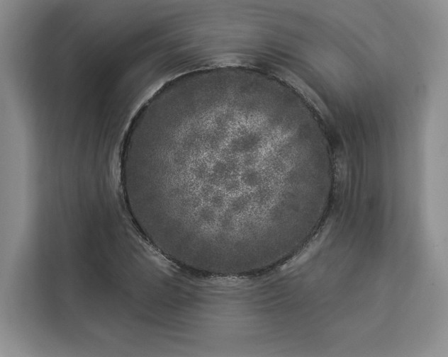 X0000112941023200908311445