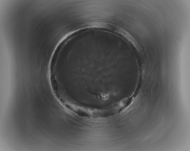 X0000112941024200908311445