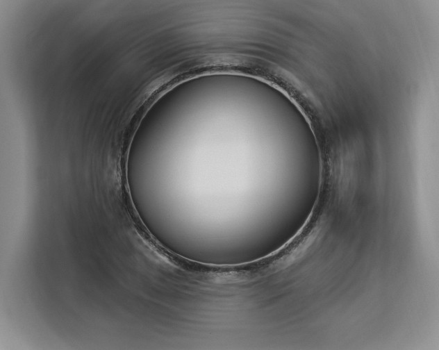 X0000112941025200908311445