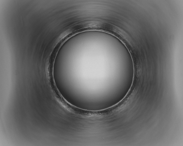 X0000112941026200908311445