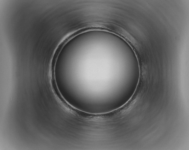X0000112941028200908311445