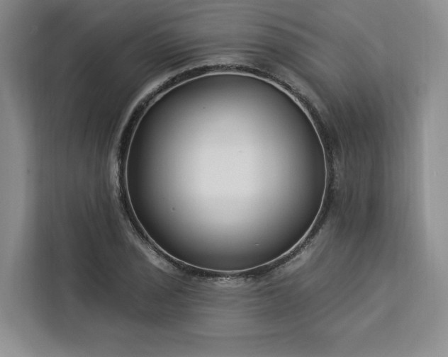 X0000112941029200908311445