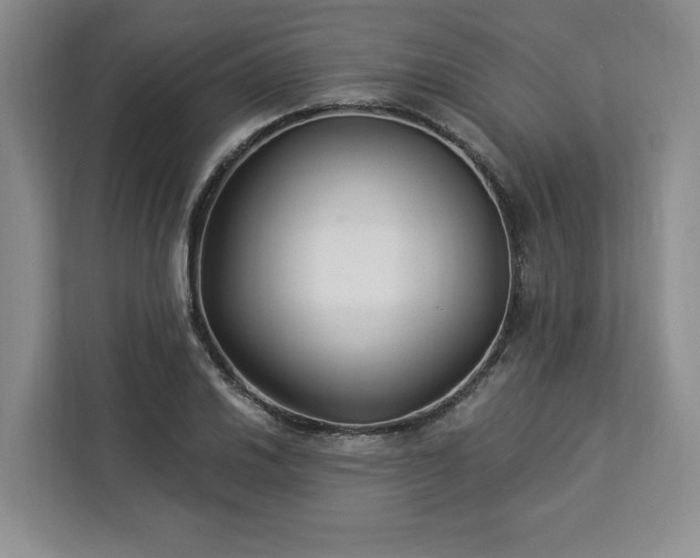 X0000112941030200908311445