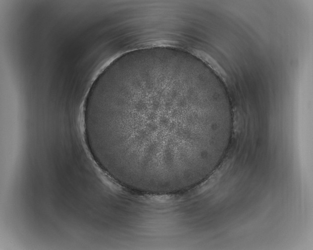 X0000112941031200908311445