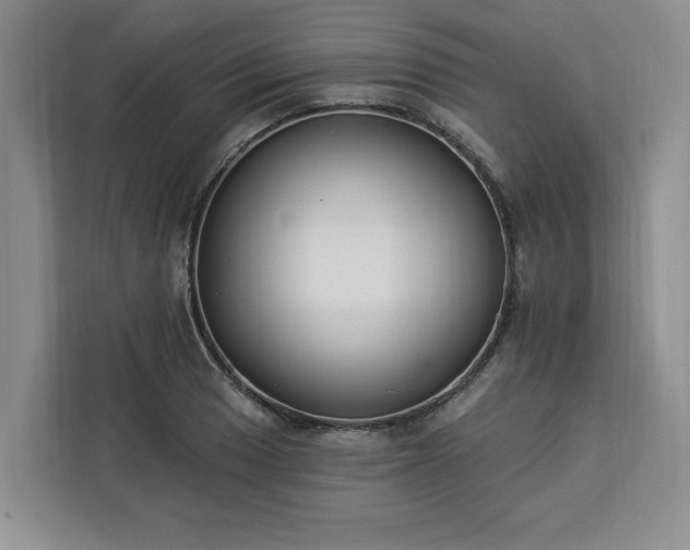 X0000112941033200908311445