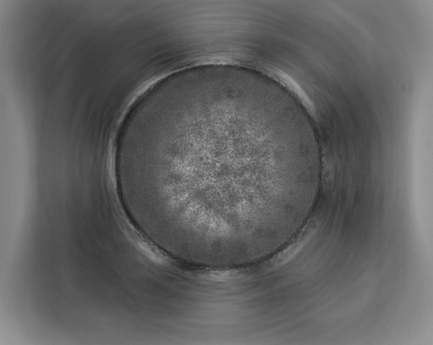X0000112941035200908311445