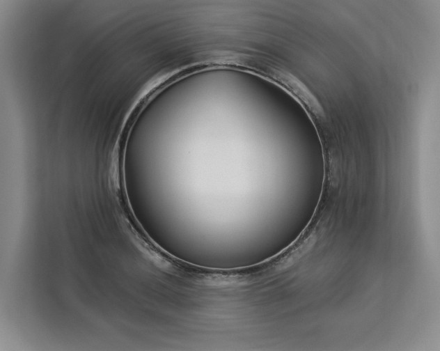 X0000112941036200908311445