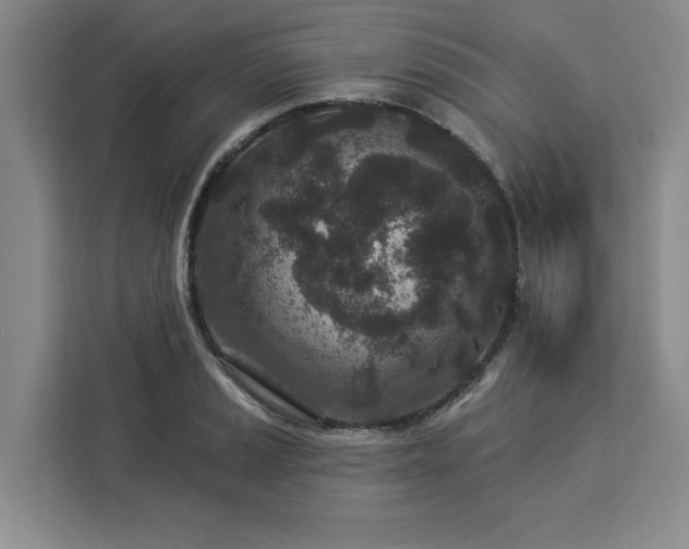 X0000112941037200908311445