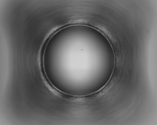 X0000112941038200908311445