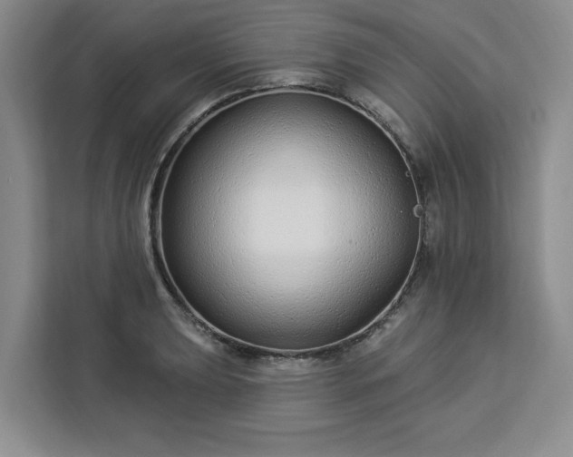X0000112941039200908311445