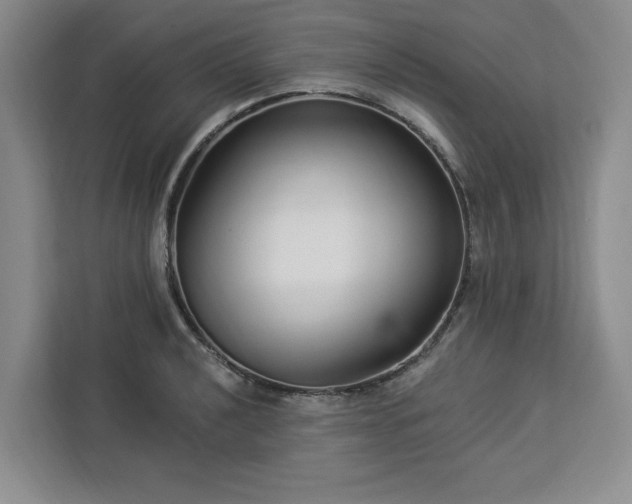 X0000112941040200908311445
