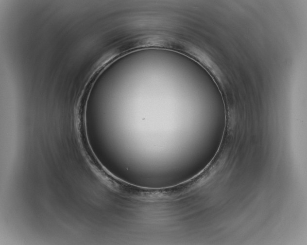 X0000112941042200908311445