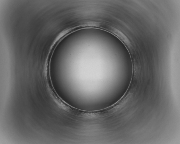X0000112941044200908311445