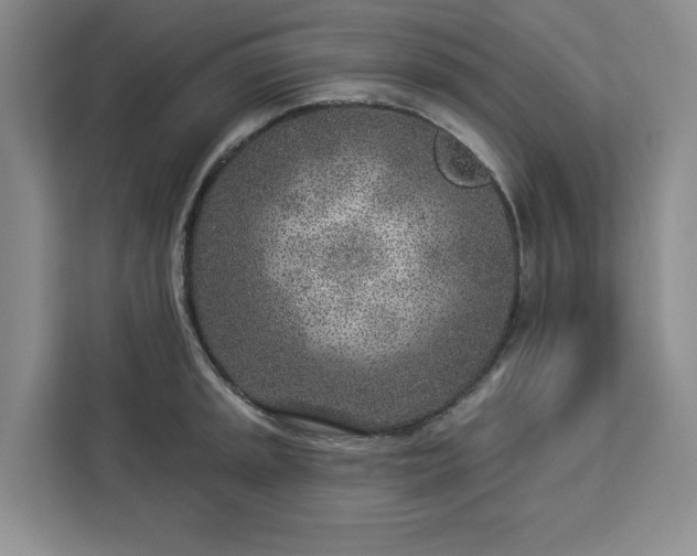 X0000112941045200908311445
