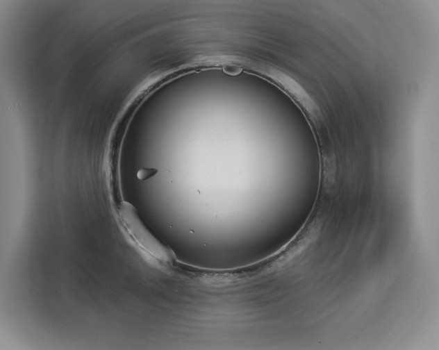 X0000112941046200908311445