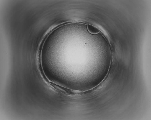 X0000112941048200908311445